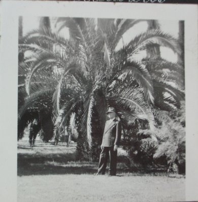 original/IMGP1639.JPG