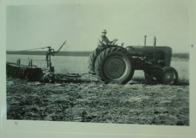 original/IMGP1644.JPG