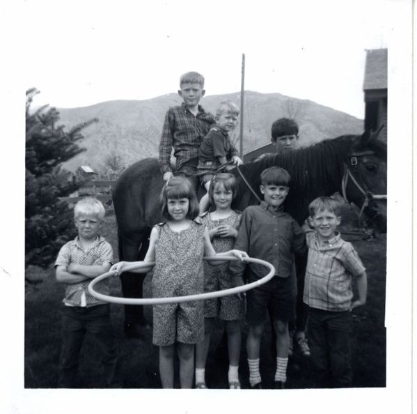 original/Horse&hoolahoop.jpg