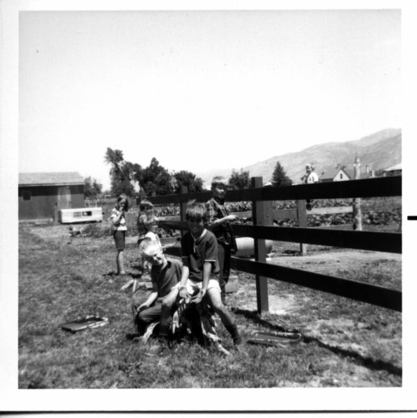 original/paintingTheFence69b.jpg