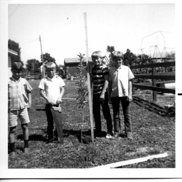 original/plantingtrees.jpg