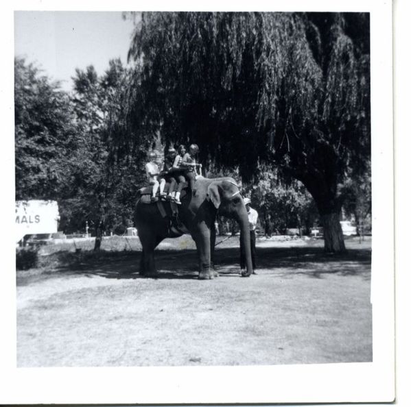 original/zooSummer69.jpg
