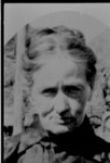 midOliveJaneButterfield1.jpg