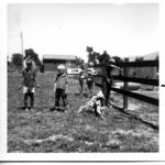 midpaintingTheFence69a.jpg