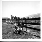 midpaintingTheFence69b.jpg
