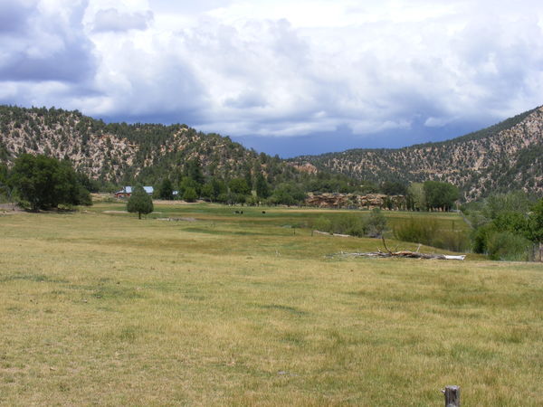 original/dscf8913.jpg