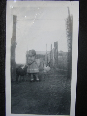 original/P7040075.JPG